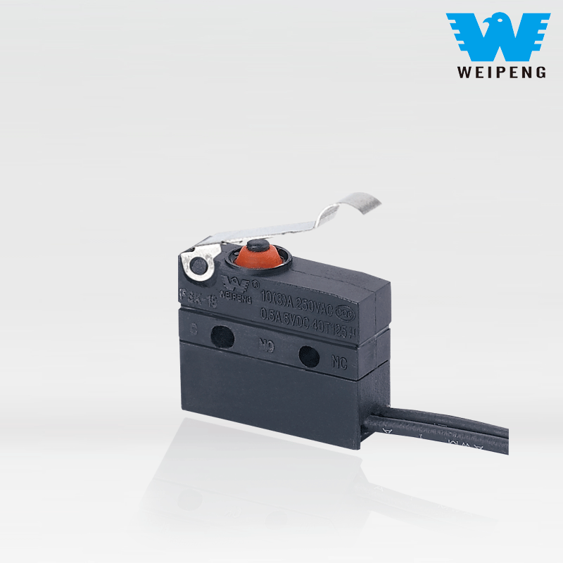 Weipeng 10A कोणित लीभर साइड-निकास IP67 सिल गरिएको वाटरप्रूफ माइक्रो स्विच